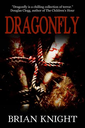 Cover of the book Dragonfly by Edwin McRae