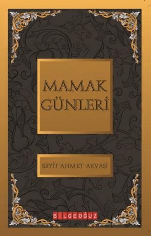 Cover of the book Mamak Günleri by JEAN WYSOCK