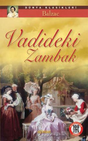 Cover of the book Vadideki Zambak by Emily Bronte