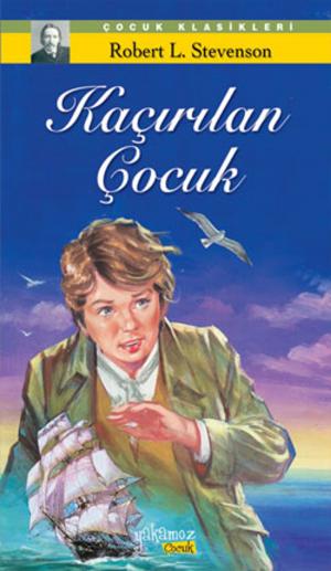 Cover of the book Kaçırılan Çocuk by Mark Twain