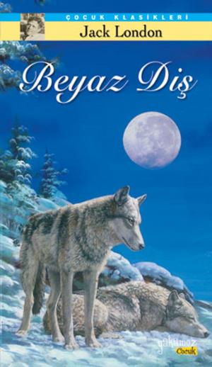Cover of the book Beyaz Diş by Mark Twain