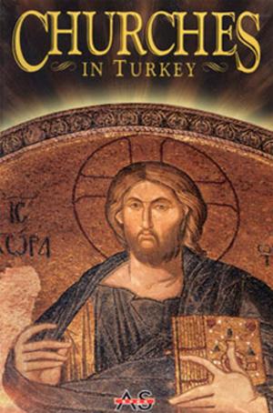Book cover of Churches İn Turkey