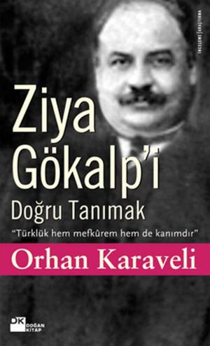 Cover of the book Ziya Gökalp'i Doğru Tanımak by Elif Şafak