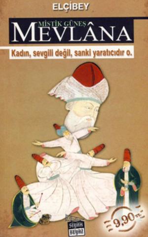 Cover of Mistik Güneş Mevlana