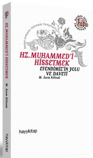 Cover of the book Hz. Muhammed'i Hissetmek by Hayati Sır
