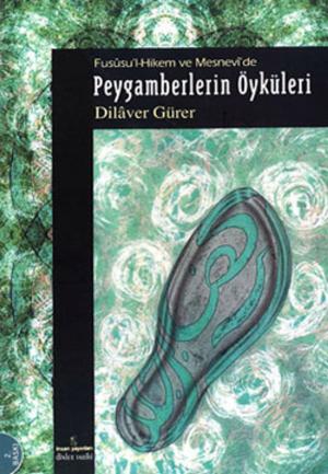Cover of the book Fusûsu'I-Hikem ve Mesnevi'de Peygamberlerin Öyküleri by Necmettin Şahinler
