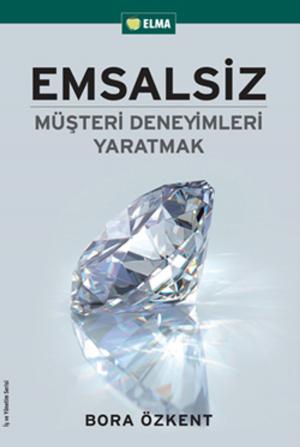 Cover of the book Emsalsiz by İdil Türkmenoğlu