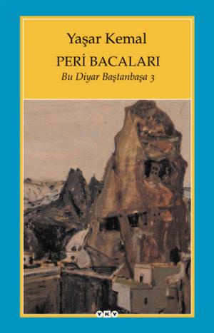 Book cover of Peri Bacaları - Bu Diyar Baştan Başa 3