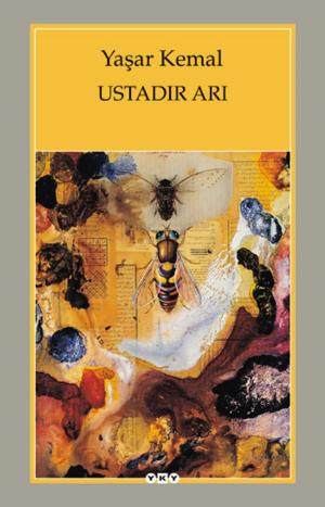 Cover of the book Ustadır Arı by Cemal Süreya