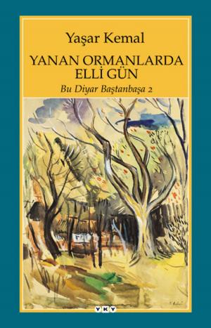 Book cover of Yanan Ormanlarda Elli Gün - Bu Diyar Baştanbaşa -2