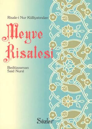 Cover of the book Meyve Risalesi by Bediüzzaman Said Nursi