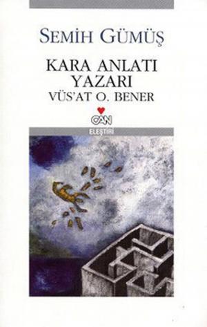Cover of the book Kara Anlatı Yazarı by Tahsin Yücel
