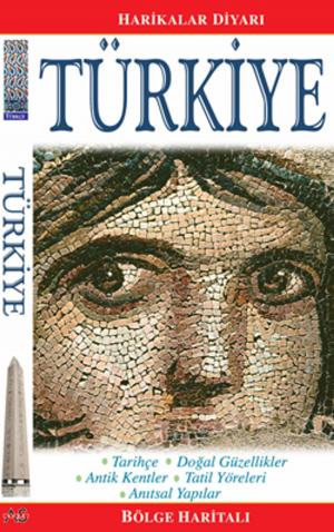 Book cover of Türkiye