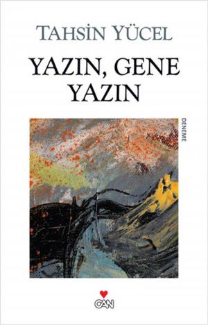 Cover of the book Yazın Gene Yazın by D.H.Lawrence
