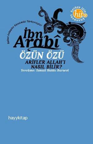 Cover of the book Özün Özü by Hayati Sır