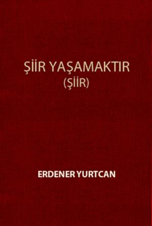 Cover of the book Şiir Yaşamaktır by Matthew David Carroll