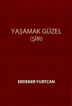 Cover of the book Yaşamak Güzel by Richard Michael Parker