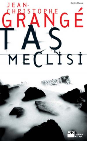 Cover of the book Taş Meclisi by Camilla Lackberg