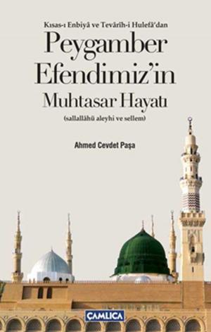Cover of Peygamber Efendimiz'in Muhtasar Hayatı