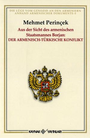 Cover of the book Aus der Sicht des armenischen Staatsmannes Borjan: Der Armenısch-Türkısche Konflıkt by Doğu Perinçek