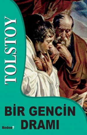 Cover of the book Bir Gencin Dramı by Serdar Sinanoğlu