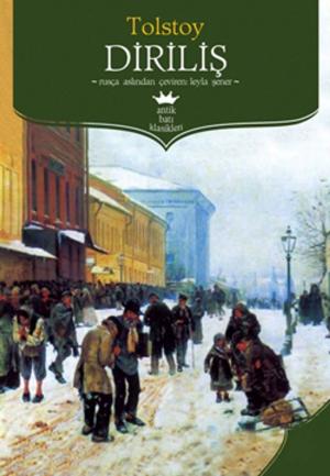 Cover of the book Diriliş by Fyodor Mihayloviç Dostoyevski