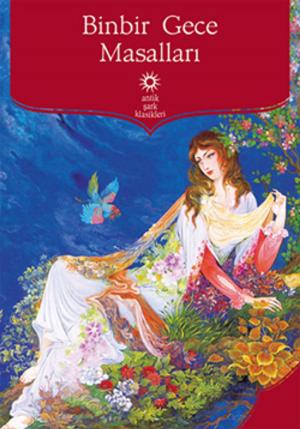 Book cover of Binbir Gece Masalları
