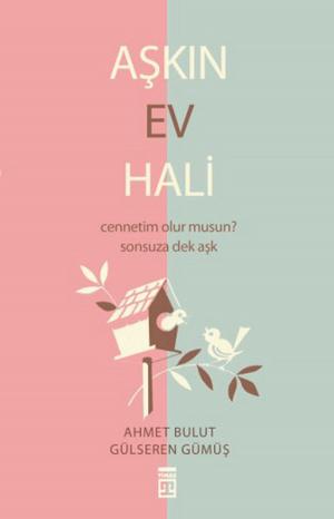 Cover of the book Aşkın Ev Hali by Ali Özdemir