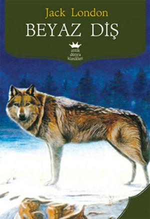 Cover of the book Beyaz Diş by Jason Tipple