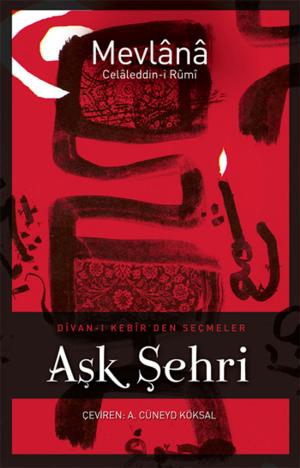 Book cover of Aşk Şehri