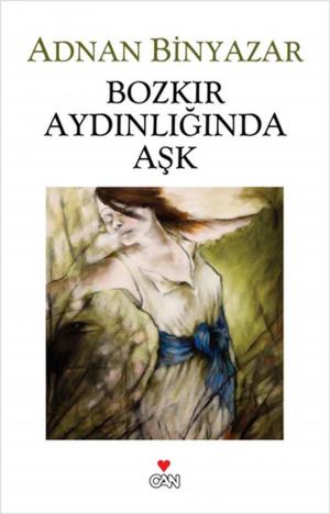Book cover of Bozkır Aydınlığında Aşk