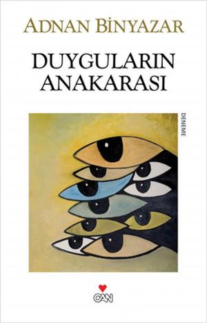 Book cover of Duyguların Anakarası