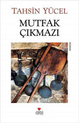 Cover of the book Mutfak Çıkmazı by Nikos Kazancakis