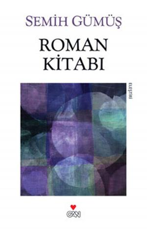 Cover of the book Roman Kitabı by Adnan Binyazar
