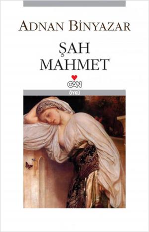 Book cover of Şah Mahmet