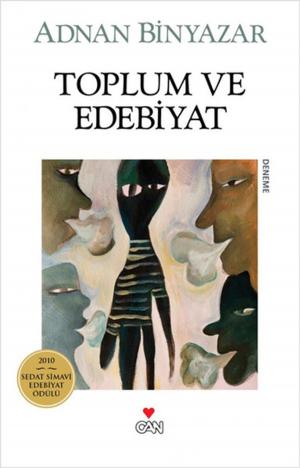 Book cover of Toplum ve Edebiyat