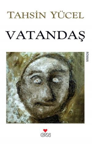 Cover of the book Vatandaş by Thomas Mann