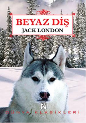 Cover of the book Beyaz Diş by Nil Peri Gökçe