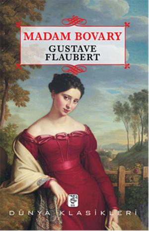 Cover of the book Madam Bovary by Ömer Seyfettin