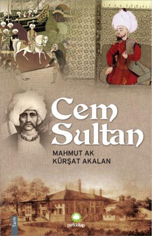 Cover of the book Cem Sultan by Virginia Woolf