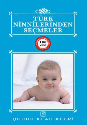 Book cover of Türk Ninnilerinden Seçmeler