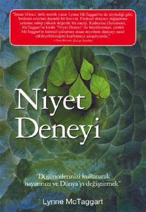 Book cover of Niyet Deneyi
