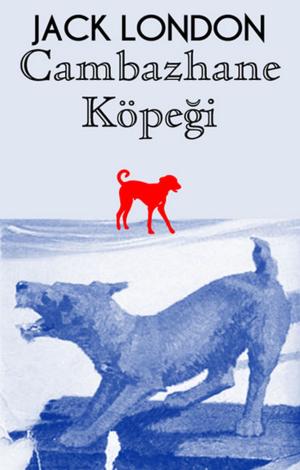 Cover of the book Cambazhane Köpeği by Kolektif