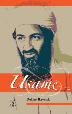 Cover of the book Usame by Lisa Annelouise Rentz