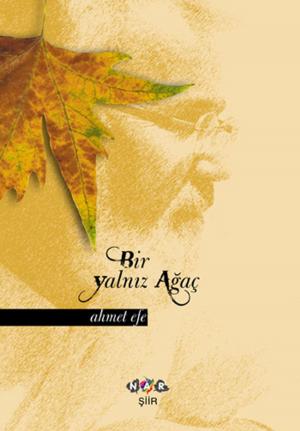 Cover of the book Bir Yalnız Ağaç by Bestami Yazgan