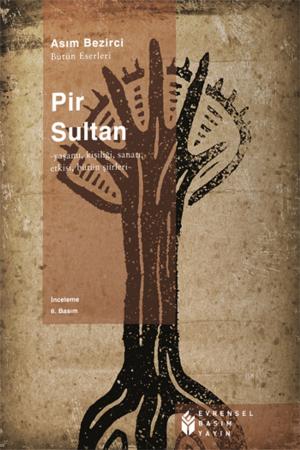 Cover of the book Pir Sultan by Güney Özkılınç