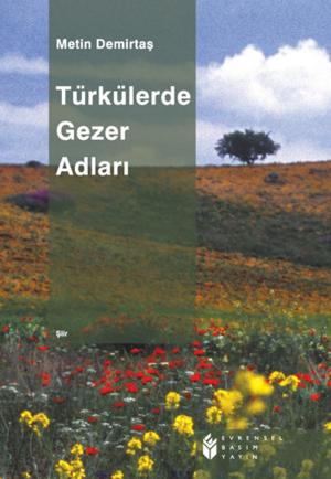 Cover of the book Türkülerde Gezer Adları by Prof. M.M. Ninan