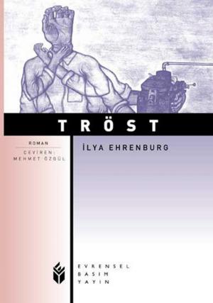 Cover of the book Tröst by Albert Einstein