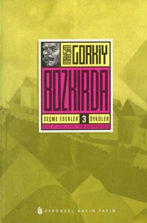 Cover of the book Bozkırda by M.A. Simirvov
