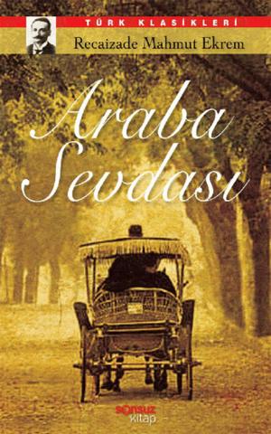 Cover of the book Araba Sevdası by Gustave Flaubert